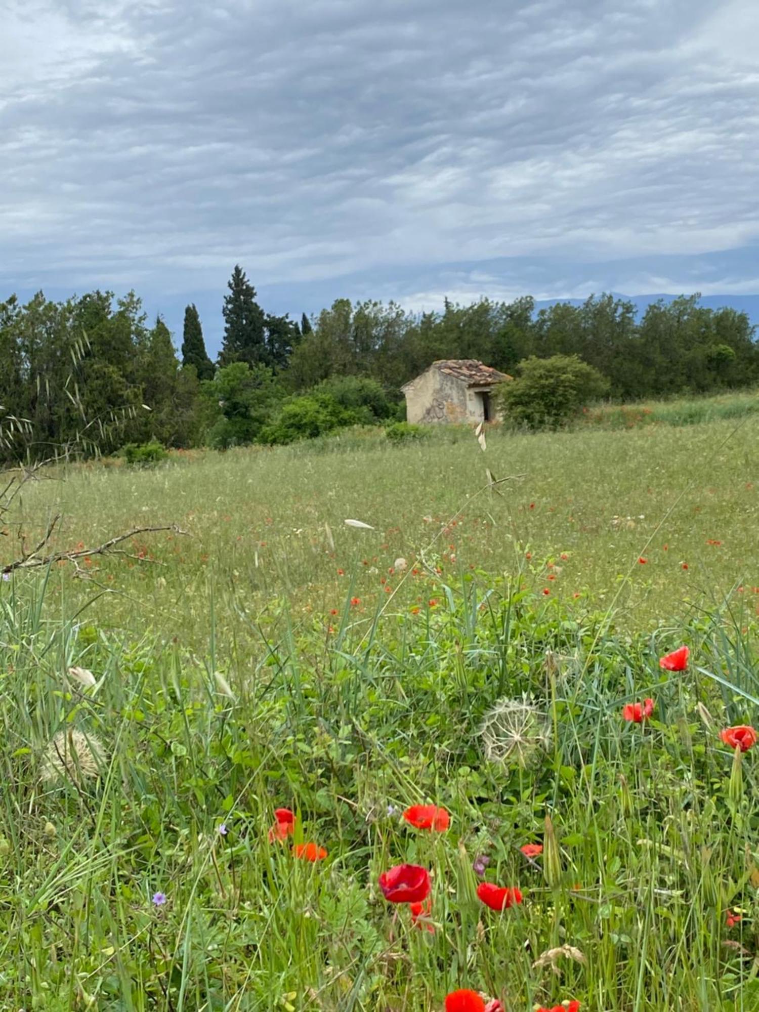Inspiration Maison Entiere Avec Jardin Pernes-les-Fontaines Buitenkant foto